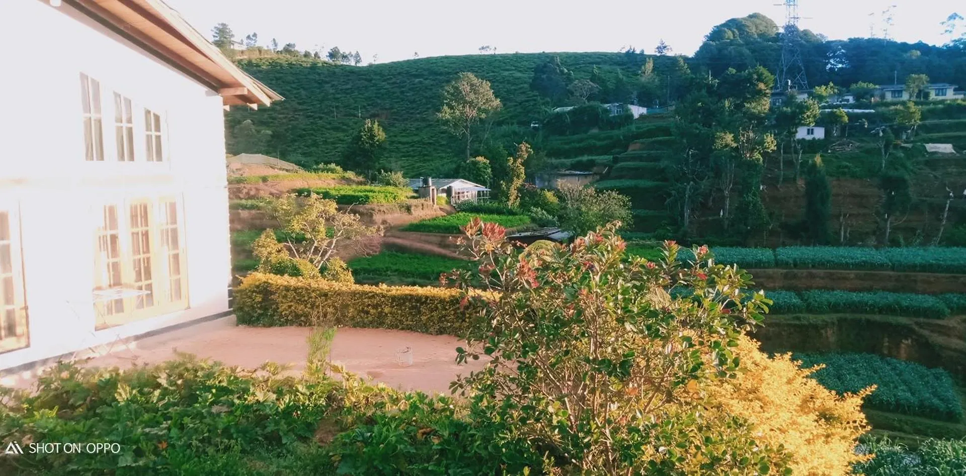 Dream Wood Villa01 Nuwara Eliya Sri Lanka